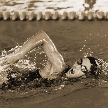 Picture of Jahreskarte Erwachsene HB