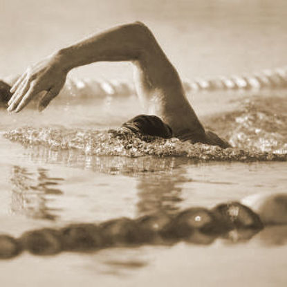 Picture of Saisonskarte Erwachsene FB